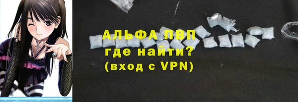 ПСИЛОЦИБИНОВЫЕ ГРИБЫ Каменка