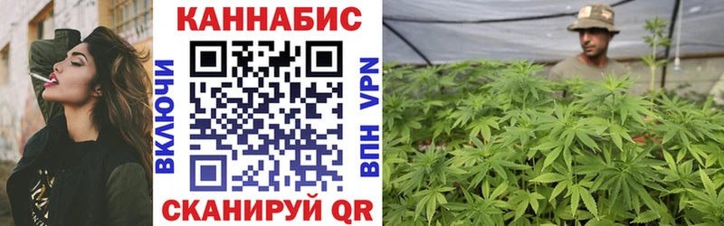 магазин  наркотиков  Сухиничи  Каннабис сатива 